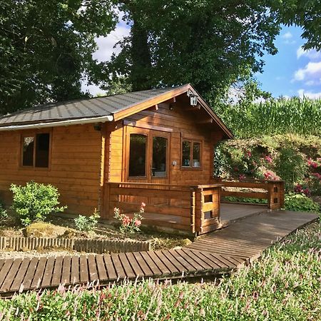 Chambres D'Hotes Les Tilleuls Poullaouen Εξωτερικό φωτογραφία